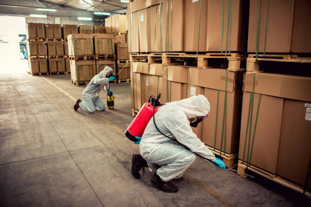 Best Pest Control for Businesses  in Cienega Springs, AZ