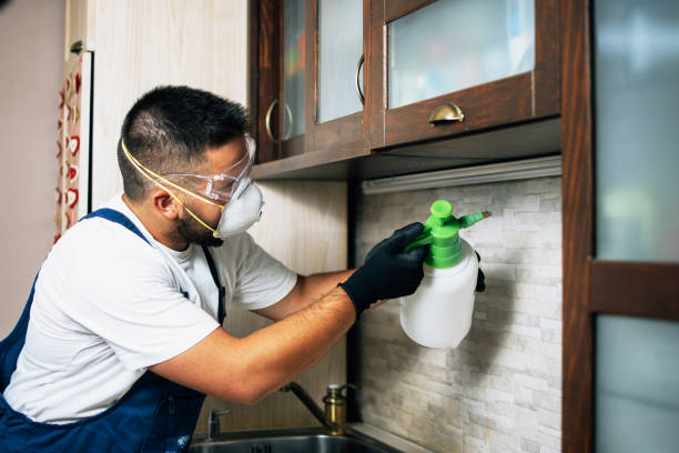 Best Best Pest Control Companies  in Cienega Springs, AZ