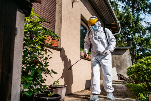 Insect Control in Cienega Springs, AZ