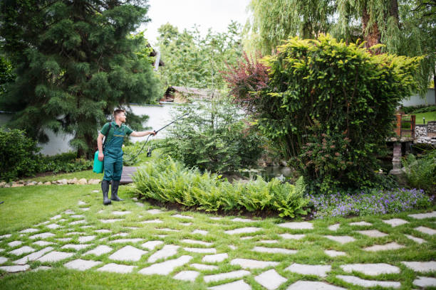 Professional Pest Control in Cienega Springs, AZ