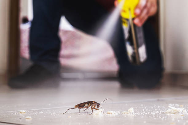 Best Pest Control Near Me in Cienega Springs, AZ