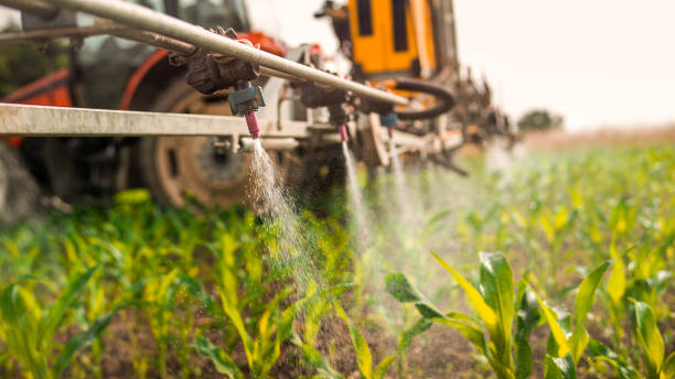 Best Pest Control for Homes  in Cienega Springs, AZ